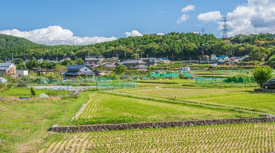 田畑でお困りの方